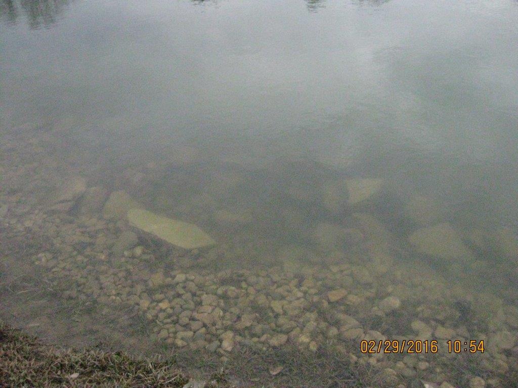 Attached picture Clear water 022916.jpg